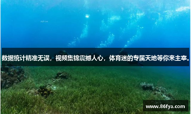 数据统计精准无误，视频集锦震撼人心，体育迷的专属天地等你来主宰。
